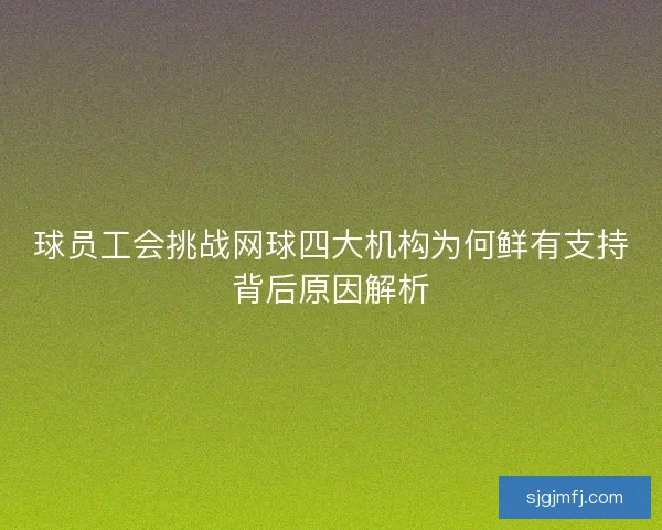 球员工会挑战网球四大机构为何鲜有支持背后原因解析 球员工会挑战网球四大机构为何鲜有支持背后原因解析