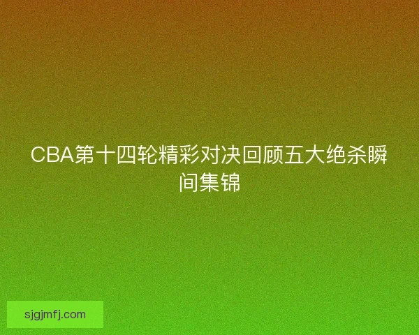 CBA第十四轮精彩对决回顾五大绝杀瞬间集锦 CBA第十四轮精彩对决回顾五大绝杀瞬间集锦