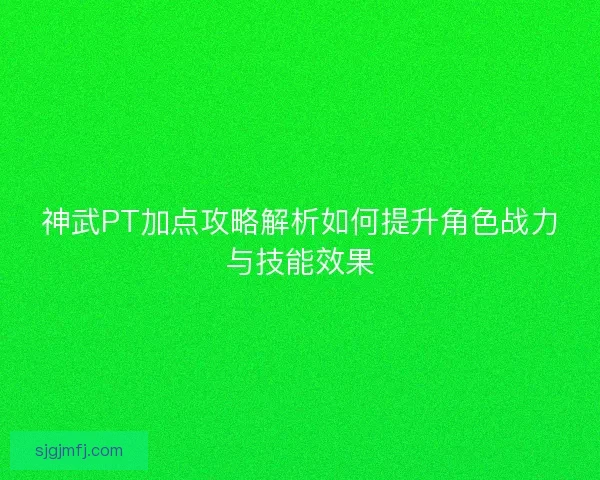 神武PT加点攻略解析如何提升角色战力与技能效果